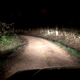 Illustration for article titled A little night driving